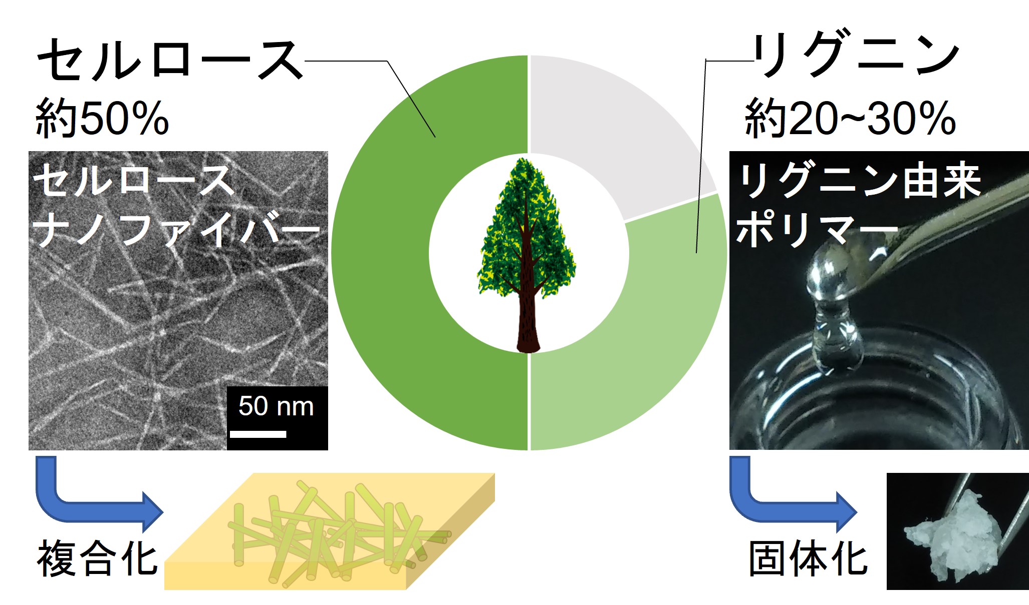 研究室紹介イメージ