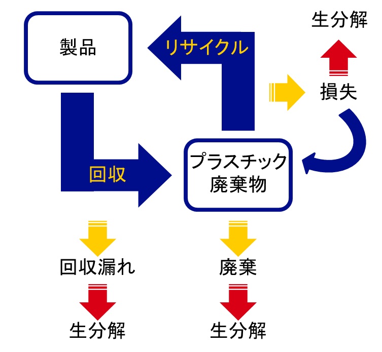 研究室紹介イメージ