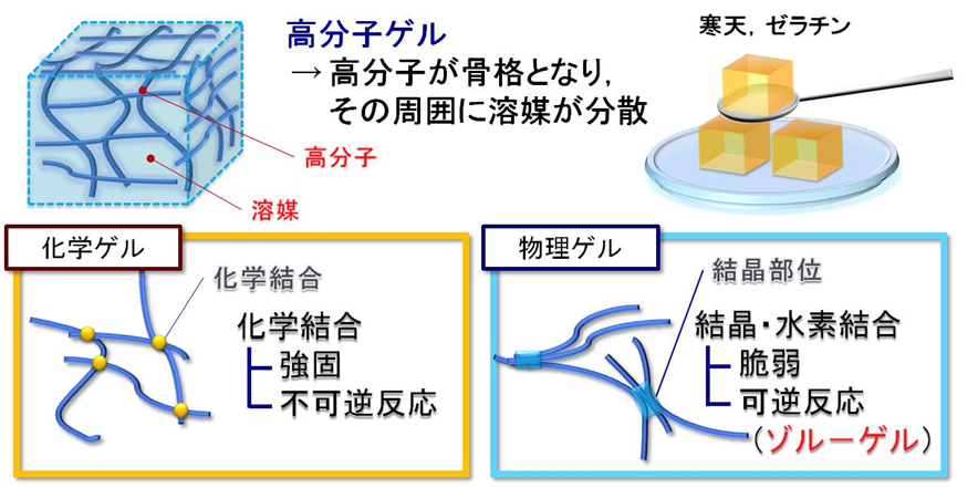 ゾル ゲル 違い