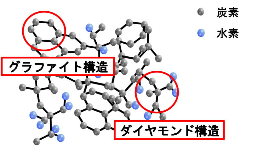 tashiro_zu2.PNG
